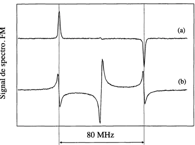 FIG  3.6 -  Signaux  typiques  d’une  résonance  de  galerie  en  spectroscopie  FM. La  forme  de