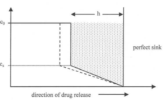 Figure 3.3: Illustration of the Higuchi quasi-steady state model with moving boundary