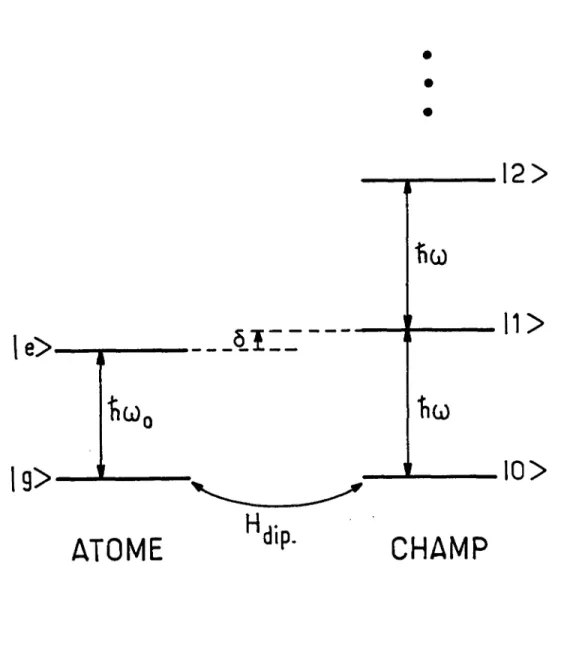 Figure  1.3 :  Interaction de l’atome à deux niveaux  et  du mode du  champ  élec- élec-tromagnétique
