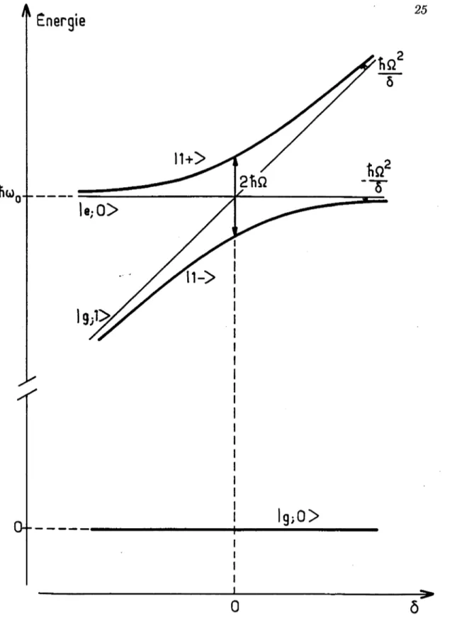 Figure  1.4 :  Variation de  l’énergie  des  premiers  états habillés  avec  le  désaccord
