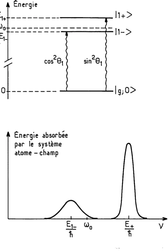 Figure  1.9 :  Absorption  de  l’énergie  de la sonde  par  le  système atome-champ.