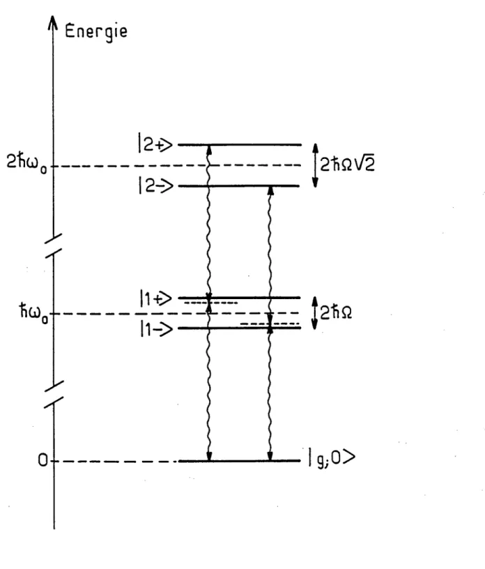 Figure  1.10 :  Transitions à deux  photons  vers  les états habillés d’ordre deux.