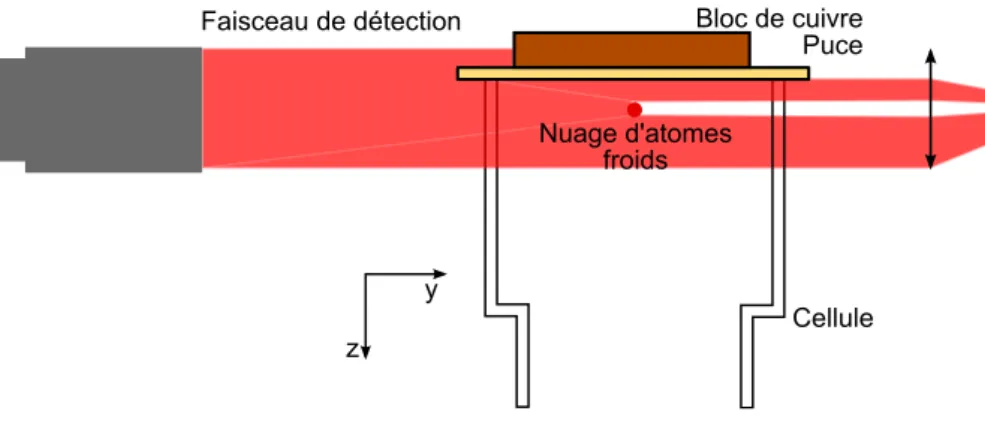 Fig. 3.14 – D´etection par absorption. Les ´echelles ne sont pas respect´ees.