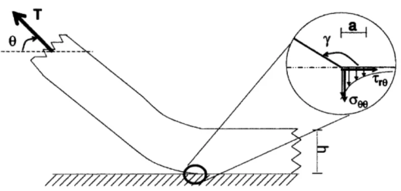 Figure  7:  Illustration  of separation  at the PDMS-Silicon  wafer boundary  [221
