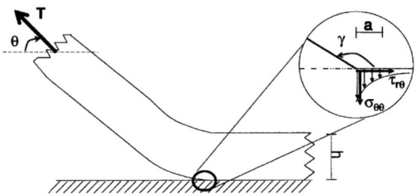 Figure  2.7  Illustration of separation  at the PDMS-Silicon  wafer boundary  [22]