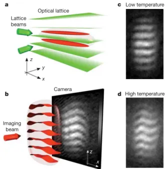 Figure 1 | Probing the coherence of 2D atomic gases using matter wave heterodyning. a, An optical lattice potential of period d ¼ 3mm along the vertical direction z is formed by two laser beams with a wavelength of 532 nm intersecting at a small angle