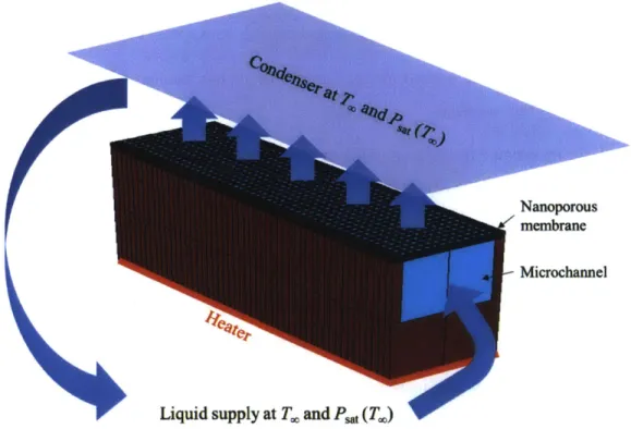 Figure 2  A  thin nanoporous  membrane-based  cooling  design:  Liquid  is driven  into  the nanopores via  the  microchannels  with  the  help  of the  high  capillary  pressure  generated  by  the  nanopores
