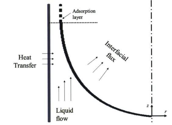 Figure  6  Previous  approaches  that  model  evaporation  from  a  pore:  the  heat  transfer  and  fluid mechanics  are solved  in the liquid phase  assuming  that the  meniscus  is  fully extended  (dr/dz  =  0)  at the joint  of the  adsorption  layer 
