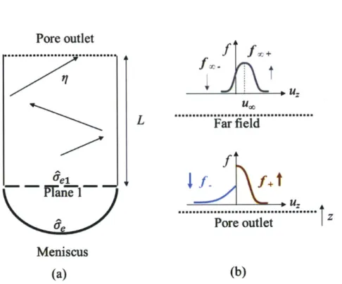 Figure  9  Vapor  transport  in  the  pore  system:  (a)  emitted  molecules  first  reach  Plane  I  with  a probability  6 e1  and  the  transmission  probability  from  Plane  I  to the  pore  outlet  is  11;  (b)  vapor  transport outside  the  pore  w