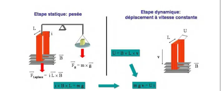 Figur e 1 :  principe de mesure de la balance du Watt. Dans une première étape, une pesée  équilibre le poids exercé par la pesanteur et la force de Laplace exercée sur une bobine  parcourue par un courant en présence d’un champ magnétique