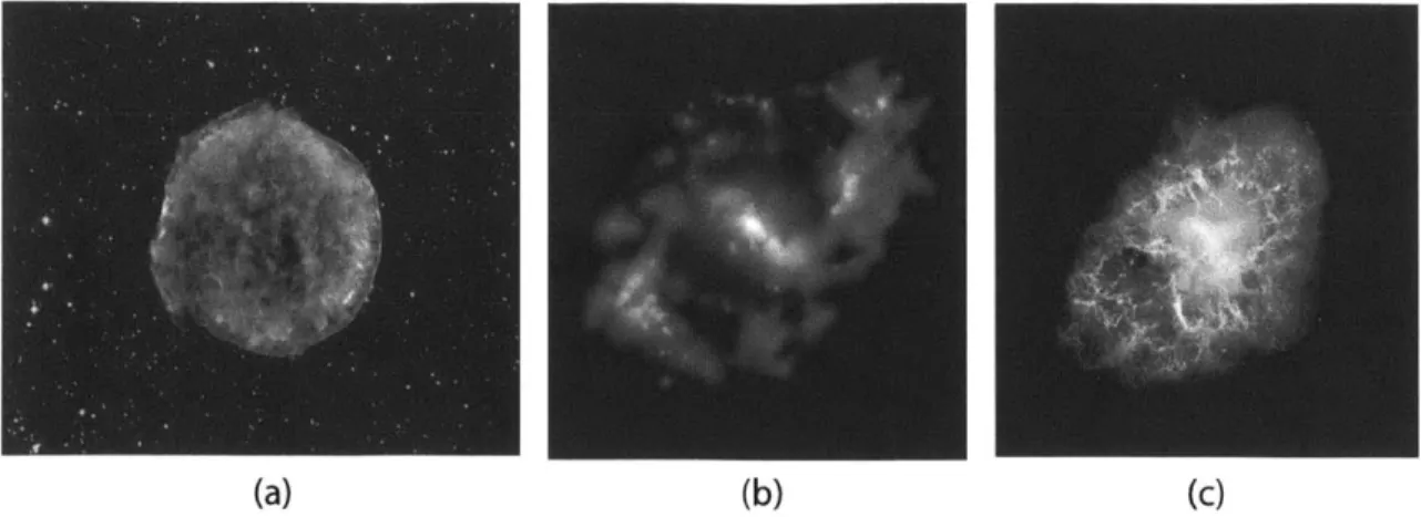 Figure  1-4:  (a)  Tycho's  supernova  remnant,  produced  by  the  explosion  of  a  white dwarf  star  in  our  Galaxy,  10,000  light  years  away