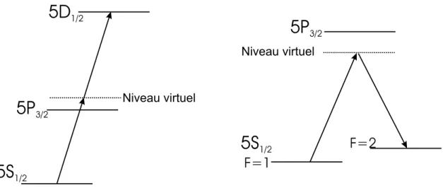 Fig. 2.2 – Transitons `a deux photons (exemple du rubidium) : il existe deux types de transitions