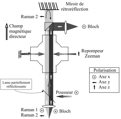 Fig. 2.10 – Configuration des faisceaux lasers utilis´es apr`es la phase m´elasse : repompeur Zeeman, pousseur, Raman, et Bloch