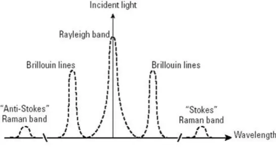 Figure 10:Type de spectre de diffusion dans la silice 