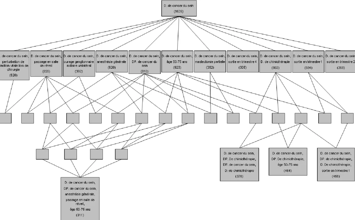 Figure 7 : Treillis de Galois représentant  les concepts d’effectif supérieur à 300, construits à partir des données du PMSI (D