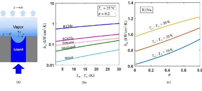 Figure 2  (a) Schematic of interfacial transport across a nanopore in a unit cell. (b) Interfacial  heat transfer coefficient from nanoporous membrane normalized over pore cross-section area as a  function of temperature difference between evaporating surf