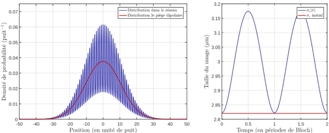 Figure III.1 – Densité de probabilité dans la direction verticale dans le piège dipolaire har- har-monique et dans le réseau à une profondeur de 1,9 E rec (à gauche) avec la taille correspondante évoluant pendant deux périodes de Bloch (à droite).