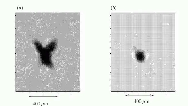 Figure 3.5: Image des atomes pi´eg´es 100 ms apr`es la coupure du pi`ege magn´eto-optique.