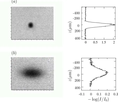 Figure 4.12: (a) est une image des atomes pi´eg´es et (b) une image prise apr`es 8.7 ms de temps de vol