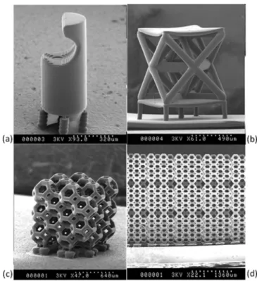 FIG. 8. Complex three-dimensional structures manufactured with the PμSL system. (a) Micro-gripper structure with overhanging gripper and pre-defined curvature