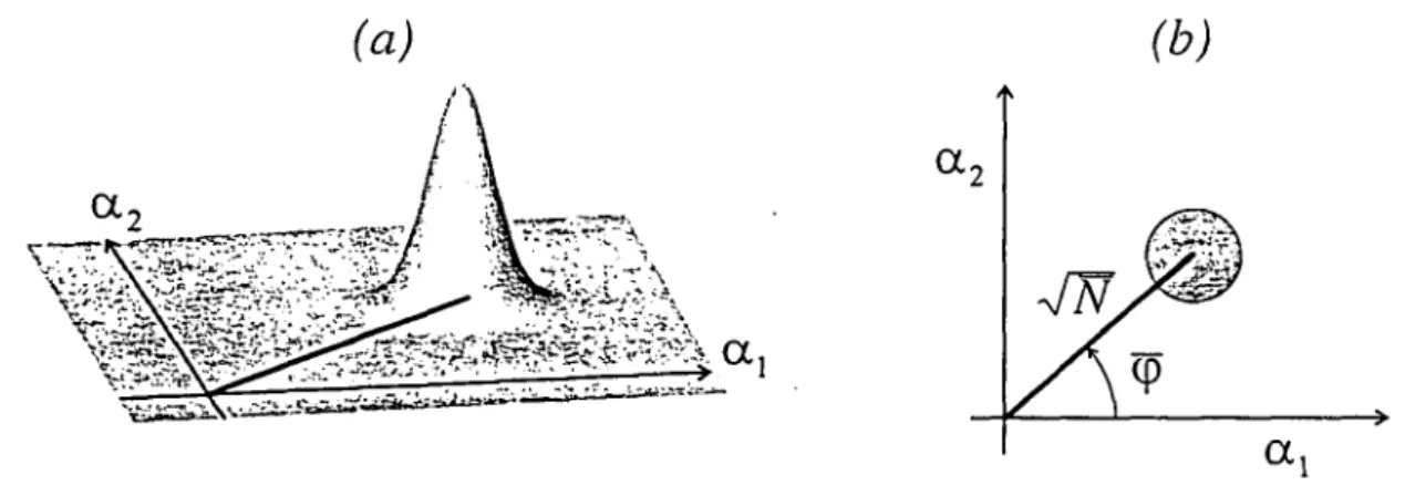 Fig.  11:  Repiésentation  dans  l’espace  des  phases  d’un  champ  cohérent  La  distribution de  Wigner