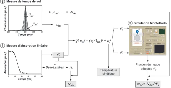 Figure 1.14  Diagramme décrivant le traitement eectué sur les mesures d'absorp- d'absorp-tion linéaire À et de temps de vol Á an de déterminer les grandeurs σ r (distribution spatiale), σ v (distribution des vitesses), F d (fraction du nuage détectée obten