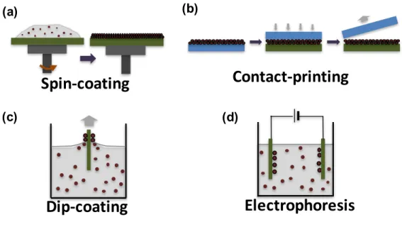 Figure 1-3: Common CQD solid deposition methods: (a) spin-coating, (b) contact(or transfer) printing, (c) dip-coating, and (d) electrophoresis.