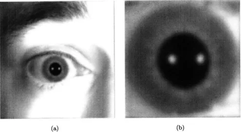 Figure  2-8:  Iris  recognition  images  as  an  example  of task-based  imaging.  (a)  Far  field  image  (do  = 800mm)