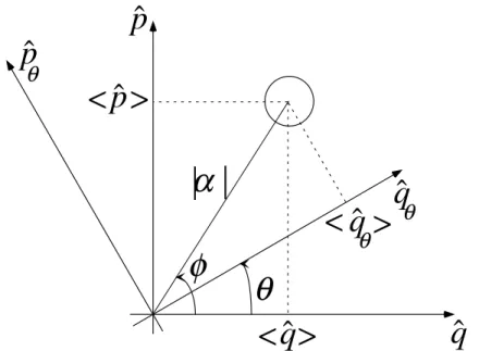Fig. 1.4: Représentation géométrique des quadratures. Le champ est préparé dans l’état