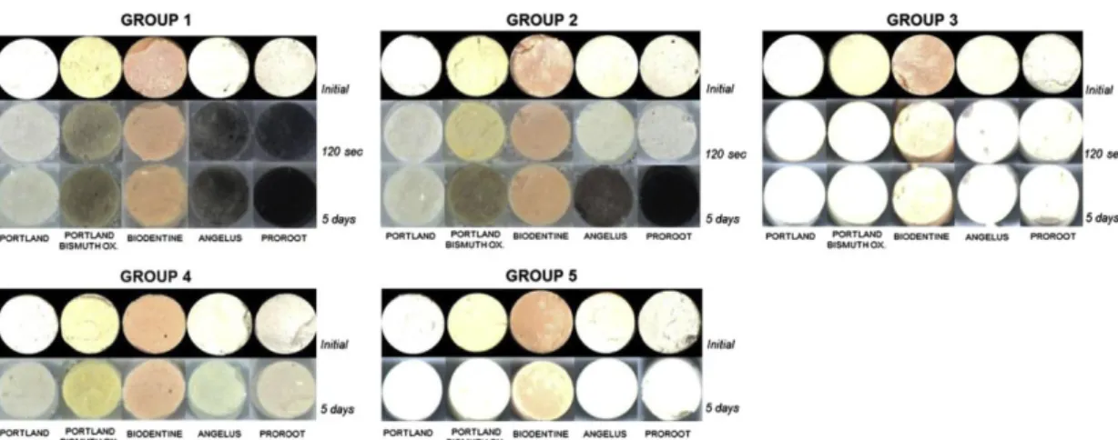 Figure 13 : Variation de la couleur en fonction du temps et de différentes expositions  (Vallés et al., 2013).