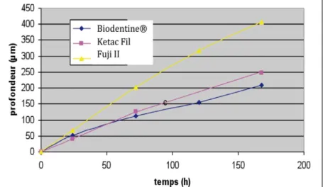 Figure 15 : Erosion acide dans une solution d'acide lactique de pH 2,74 (Colon et al., 2010).