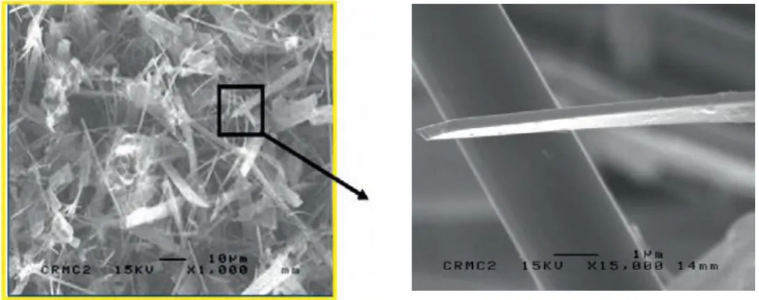 Figure  17  :  Evolution  de  la  hauteur  de  l’échantillon  en  fonction  de  la  durée  d'exposition  à  la  salive artificielle (Colon et al., 2010).