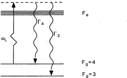 Figure  2 15  Taux de désexcitation  vers  les  sous-niveaux  hyperfins  du  fondamen-