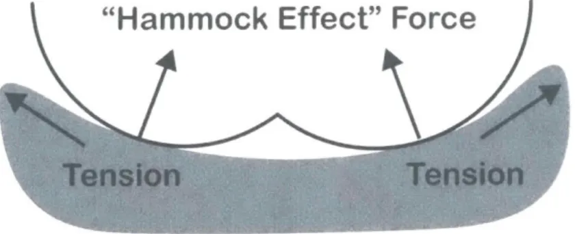 Figure  8: The  &#34;hammock  effect&#34; forces  induced  by  the  membrane  tension  are  shown  above.