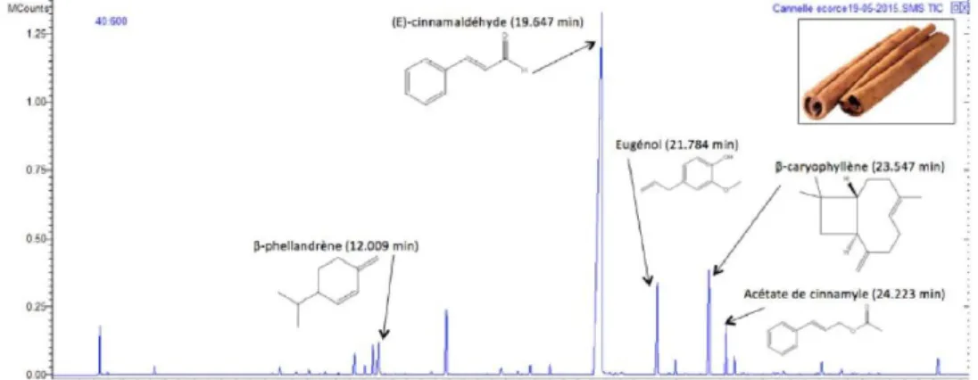 Figure 2 : Chromatogramme d’une huile essentielle de cannelle (INSA Rouen, 2015) 