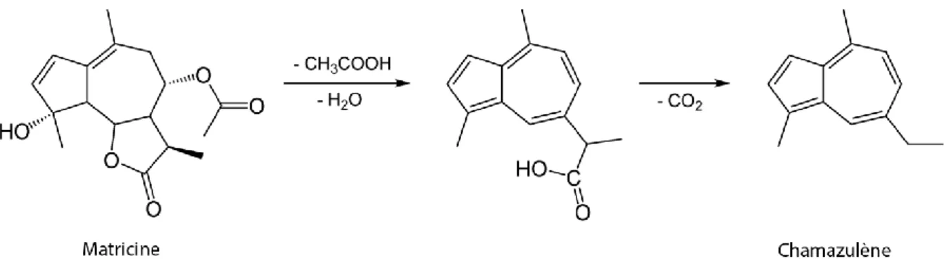 Figure 3 : Transformation de la matricine en chamazulène pendant la distillation de Chamomilla recutita 