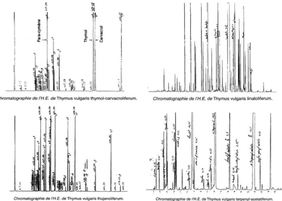 Figure 4 : Chromatographies de quatre variétés de thyms différentes (Jollois et al., 2001) 