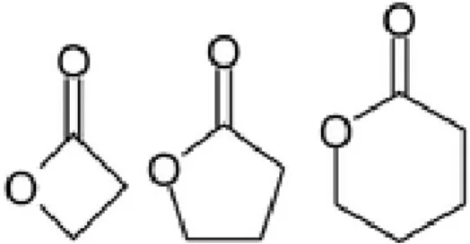Figure 9 : Exemples de structures lactoniques 