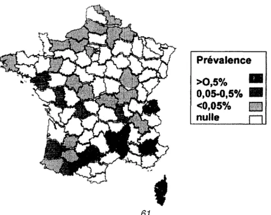 Tableau de l'incidence par département français (65)