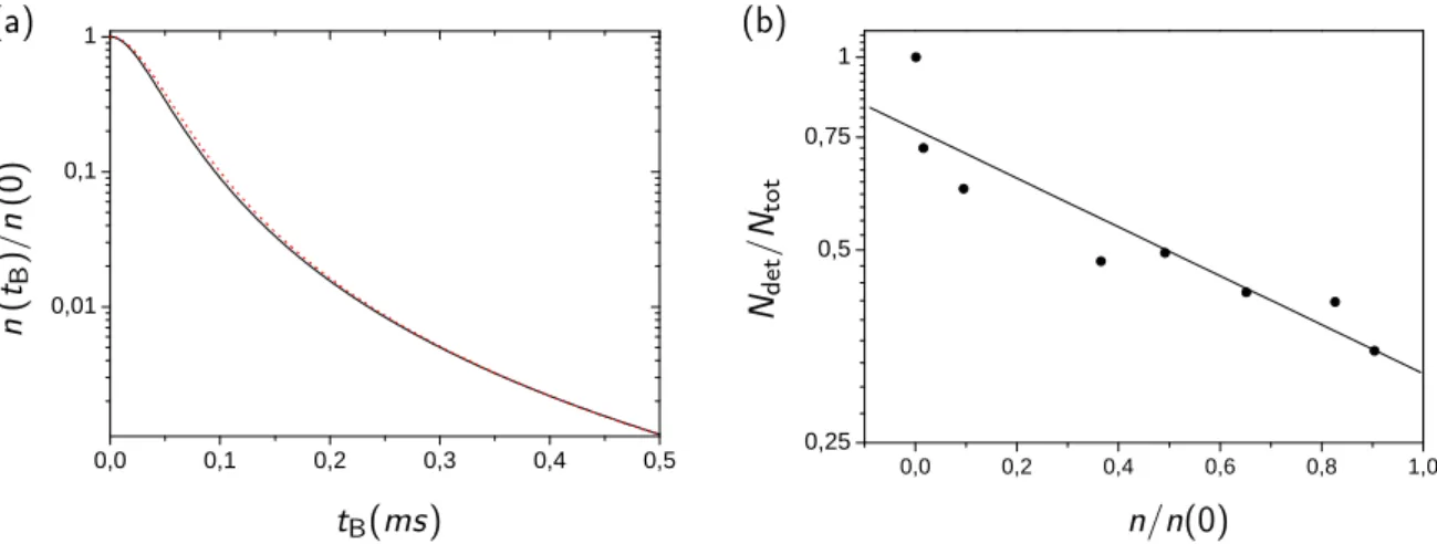 Figure 2.13  (a) Diminution de la densité moyenne du nuage au cours du temps de vol en champ