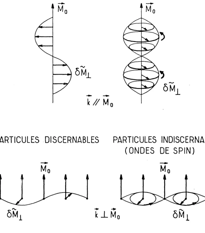 Figure  20 :  Effets  du  mécanisme  de  &#34;rotation  des  spins  identiques&#34;