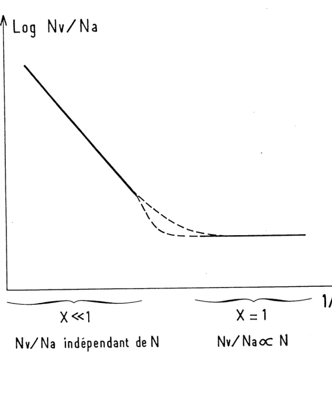Figure  12-a :  Allure  de  Log  N v /N a en  fonction  de  1/T