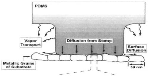 Figure 3-1:  Schematic  illustration depicting  the application  of a PDMS stamp containing thiols to a polycrystalline  metal film