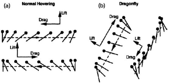 Figure  3.  Comparison  of lift and drag in  normal hovering  to  dragonfly hovering.