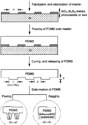 Figure  1.2.1:  Schematic  illustration of the procedure  for fabricating  PDMS stamps  from a master having relief structures  on its surface  [3].