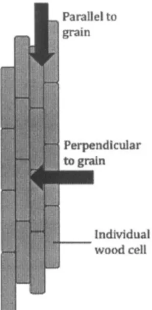 Figure  12: Orthotropic wood; the &#34;grain&#34;  goes along with  the cells  of the wood, making  it harder to drill holes perpendicular  to the grain but  stronger in  that direction.