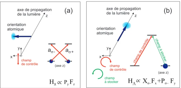 Fig. 3 – (a) Interaction d’un faisceau lumineux avec des atomes `a quatre niveaux en X