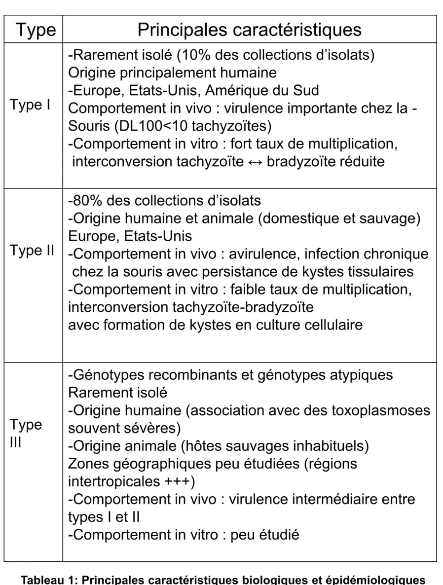 Tableau 1: Principales caractéristiques biologiques et épidémiologiques  des génotypes de T