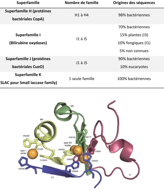 Tableau 1: Origine des séquences répertoriée dans la base de données LccED pour les superfamilles à  dominances bactériennes 