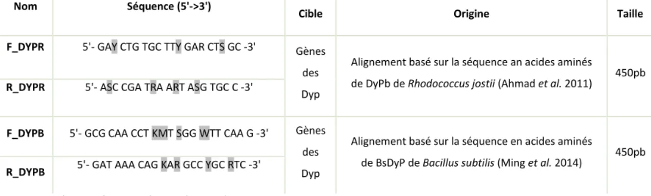 Tableau 3 : Caractéristiques des amorces construites pour cibler les gènes des Dye peroxydases 